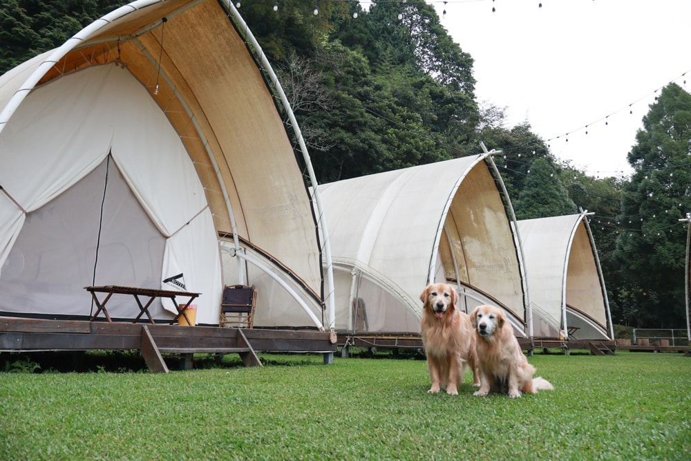 新竹五峰 蟬說霧語 |雲上海拔1200公尺的豪華露營區。一泊二食・雲海星空・寵物友善住宿、 - 第2張圖 新竹五峰 蟬說霧語 |雲上海拔1200公尺的豪華露營區。一泊二食・雲海星空・寵物友善住宿、