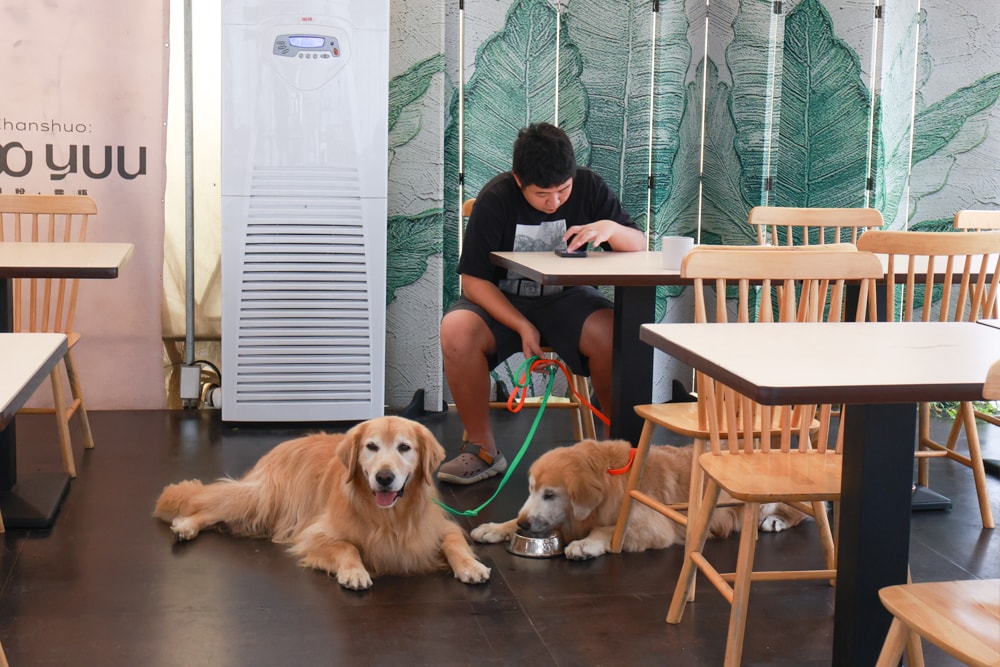 新竹五峰 蟬說霧語 |雲上海拔1200公尺的豪華露營區。一泊二食・雲海星空・寵物友善住宿、 - 第22張圖 新竹五峰 蟬說霧語 |雲上海拔1200公尺的豪華露營區。一泊二食・雲海星空・寵物友善住宿、