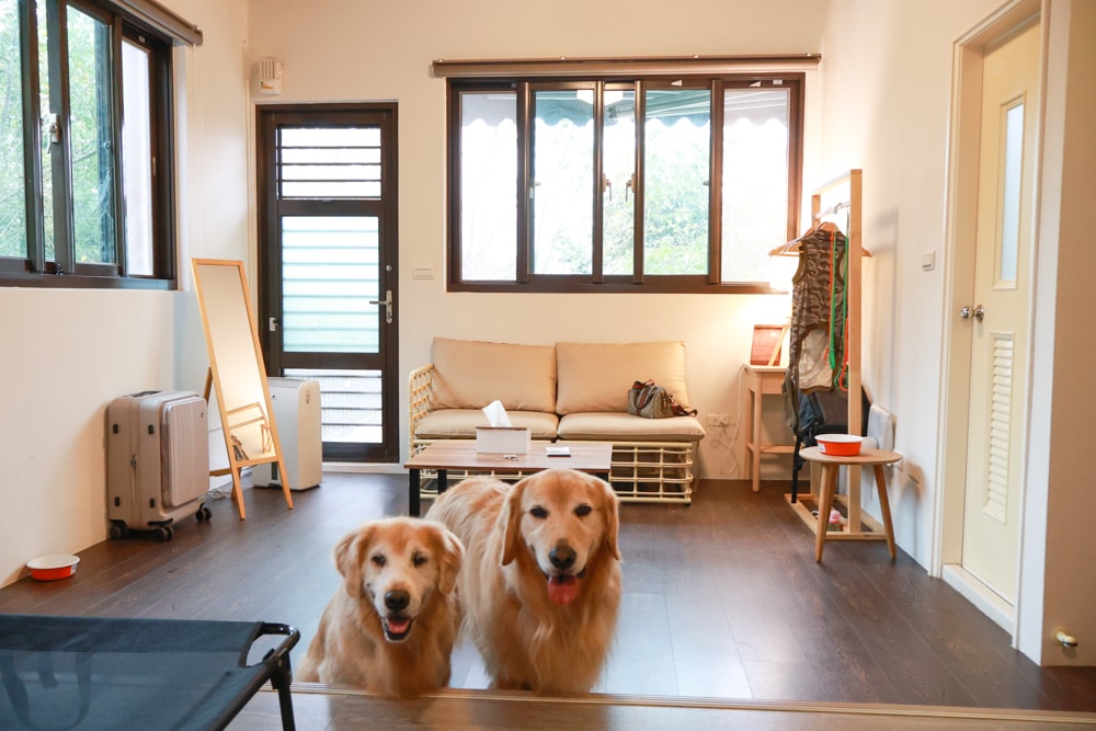 新竹五峰 蟬說霧語 |雲上海拔1200公尺的豪華露營區。一泊二食・雲海星空・寵物友善住宿、 - 第25張圖 新竹五峰 蟬說霧語 |雲上海拔1200公尺的豪華露營區。一泊二食・雲海星空・寵物友善住宿、