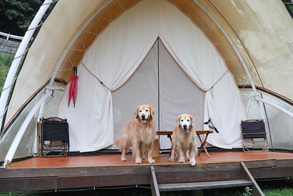 新竹五峰 蟬說霧語 |雲上海拔1200公尺的豪華露營區。一泊二食・雲海星空・寵物友善住宿、 - 第3張圖 新竹五峰 蟬說霧語 |雲上海拔1200公尺的豪華露營區。一泊二食・雲海星空・寵物友善住宿、