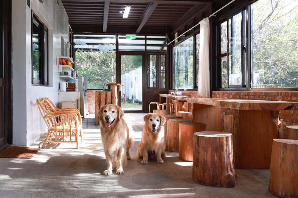 新竹五峰 蟬說霧語 |雲上海拔1200公尺的豪華露營區。一泊二食・雲海星空・寵物友善住宿、 - 第28張圖 新竹五峰 蟬說霧語 |雲上海拔1200公尺的豪華露營區。一泊二食・雲海星空・寵物友善住宿、