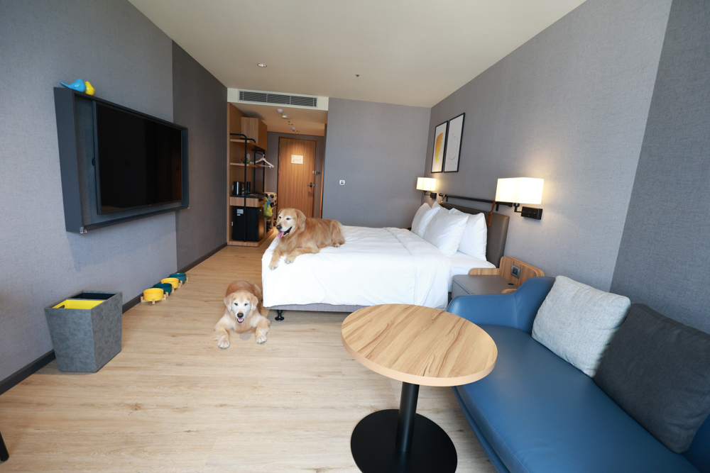 嘉義福容voco酒店｜嘉義101寵物友善住宿開箱！毛孩專屬樓層、毛孩共餐區、五星級寵愛體驗