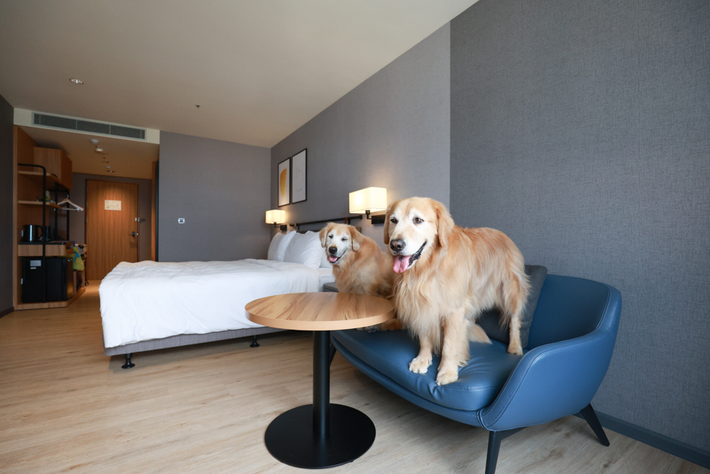 嘉義福容voco酒店｜嘉義101寵物友善住宿開箱！毛孩專屬樓層、毛孩共餐區、五星級寵愛體驗