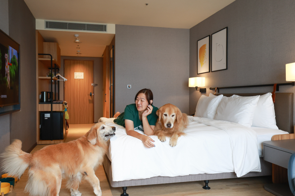 嘉義福容voco酒店｜嘉義101寵物友善住宿開箱！毛孩專屬樓層、毛孩共餐區、五星級寵愛體驗