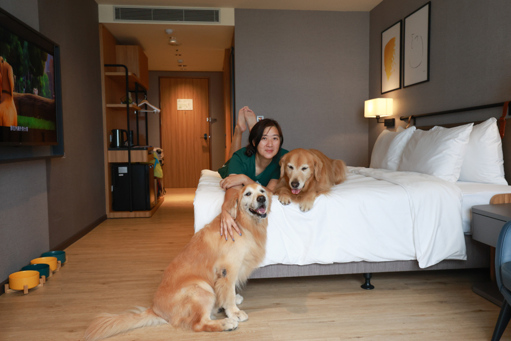 嘉義福容voco酒店｜嘉義101寵物友善住宿開箱！毛孩專屬樓層、毛孩共餐區、五星級寵愛體驗