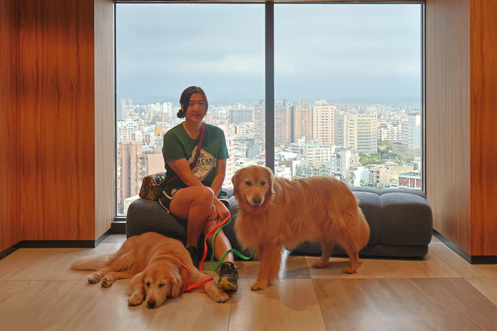 嘉義福容voco酒店｜嘉義101寵物友善住宿開箱！毛孩專屬樓層、毛孩共餐區、五星級寵愛體驗