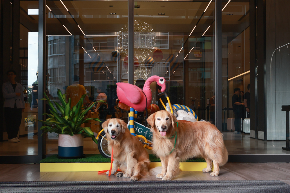 嘉義福容voco酒店｜嘉義101寵物友善住宿開箱！毛孩專屬樓層、毛孩共餐區、五星級寵愛體驗