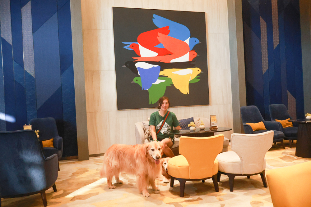 嘉義福容voco酒店｜嘉義101寵物友善住宿開箱！毛孩專屬樓層、毛孩共餐區、五星級寵愛體驗