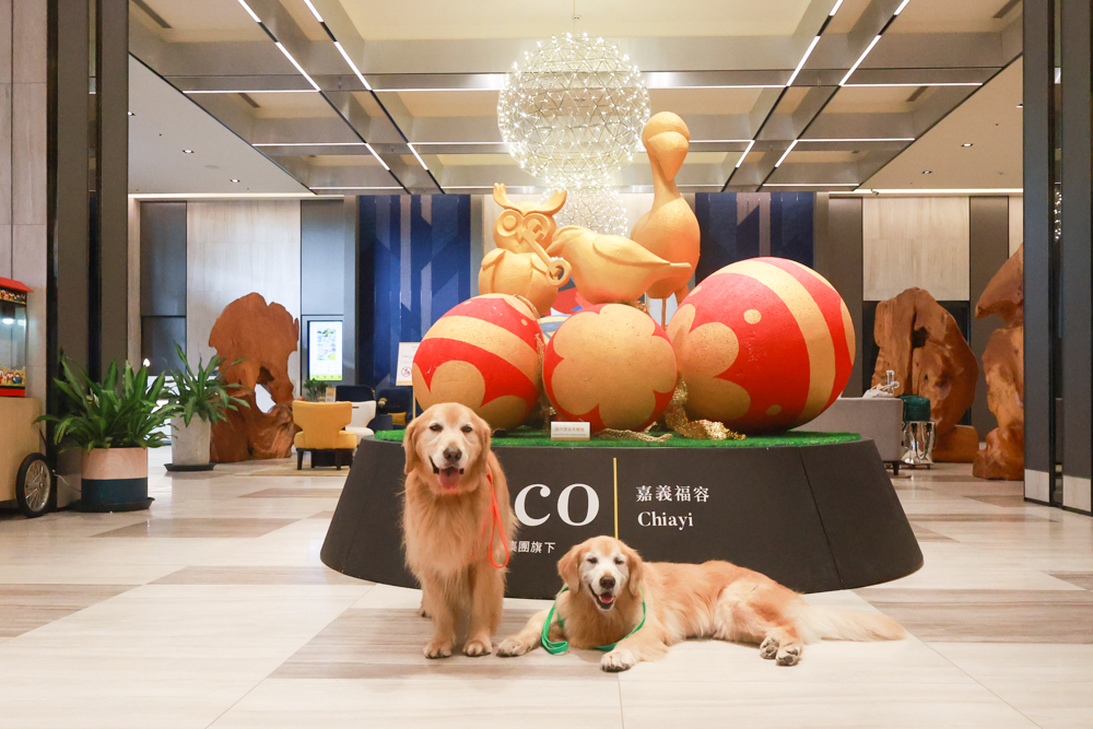 嘉義福容voco酒店｜嘉義101寵物友善住宿開箱！毛孩專屬樓層、毛孩共餐區、五星級寵愛體驗