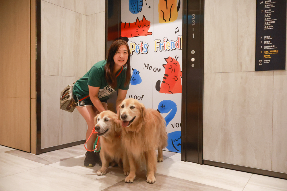 嘉義福容voco酒店｜嘉義101寵物友善住宿開箱！毛孩專屬樓層、毛孩共餐區、五星級寵愛體驗