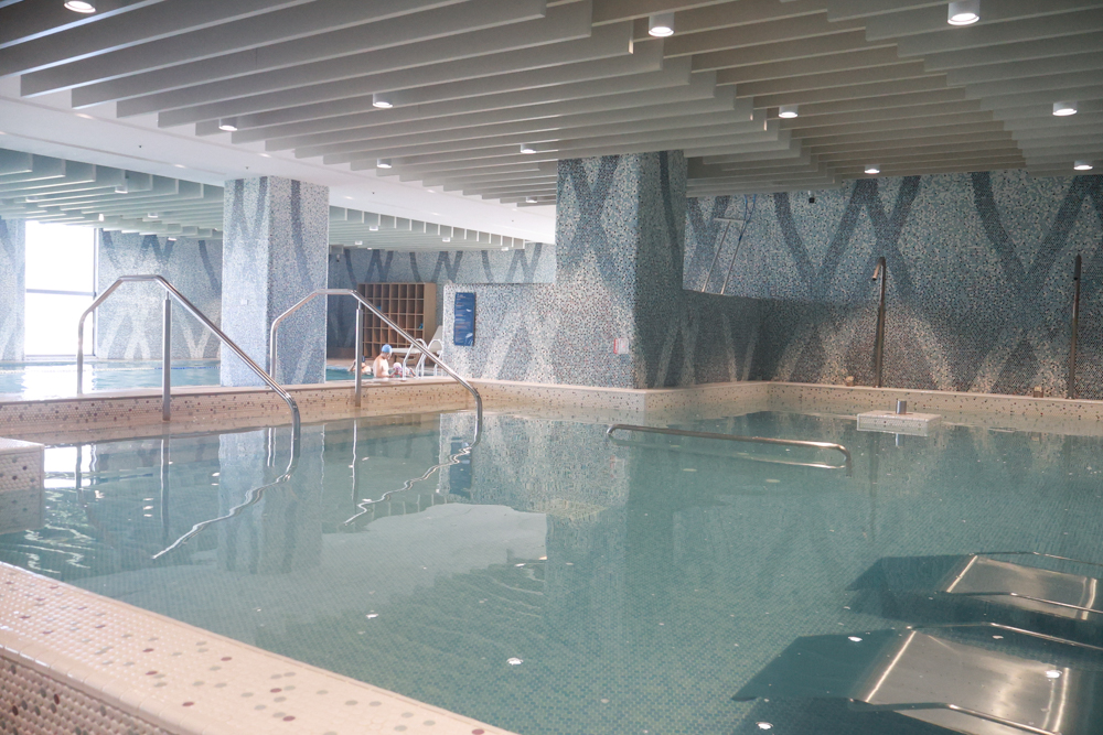 嘉義福容voco酒店｜嘉義101寵物友善住宿開箱！毛孩專屬樓層、毛孩共餐區、五星級寵愛體驗