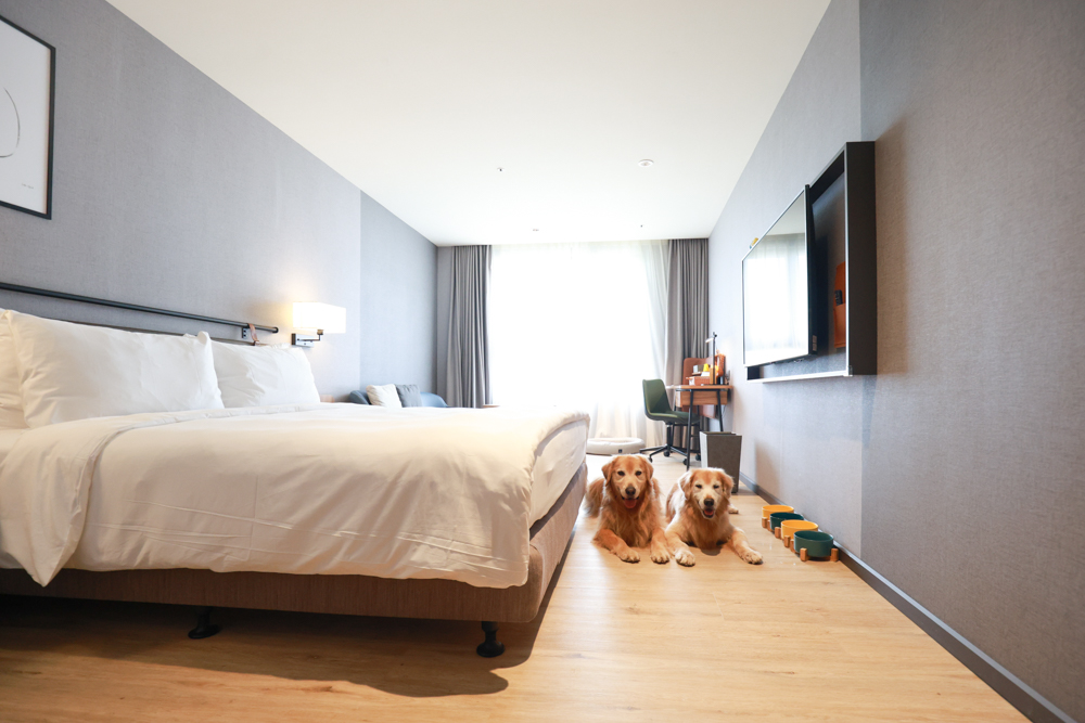 嘉義福容voco酒店｜嘉義101寵物友善住宿開箱！毛孩專屬樓層、毛孩共餐區、五星級寵愛體驗