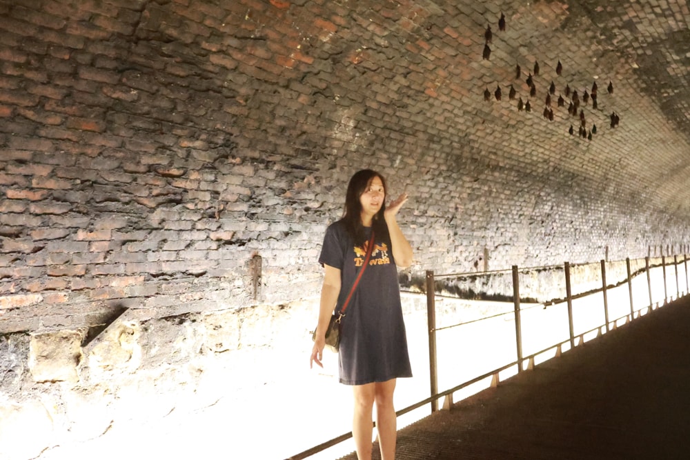 新北雙溪景點|三貂嶺生態友善隧道。免費預約、交通方式全攻略,隧道探險+秘境小旅行 - 第17張圖