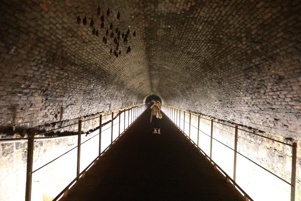 新北雙溪景點|三貂嶺生態友善隧道。免費預約、交通方式全攻略,隧道探險+秘境小旅行 - 第18張圖