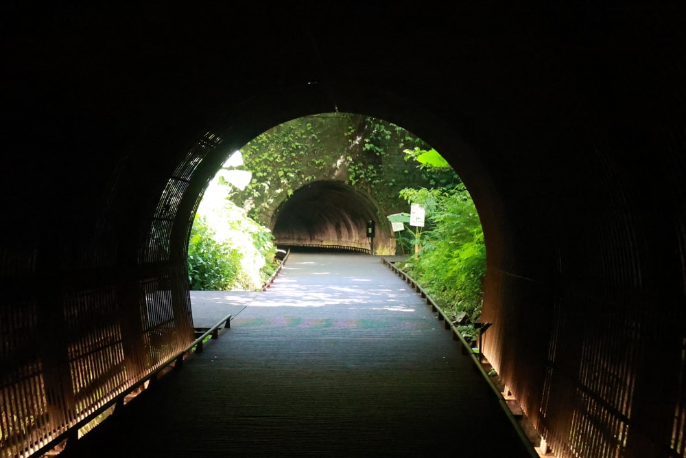 新北雙溪景點|三貂嶺生態友善隧道。免費預約、交通方式全攻略,隧道探險+秘境小旅行 - 第11張圖