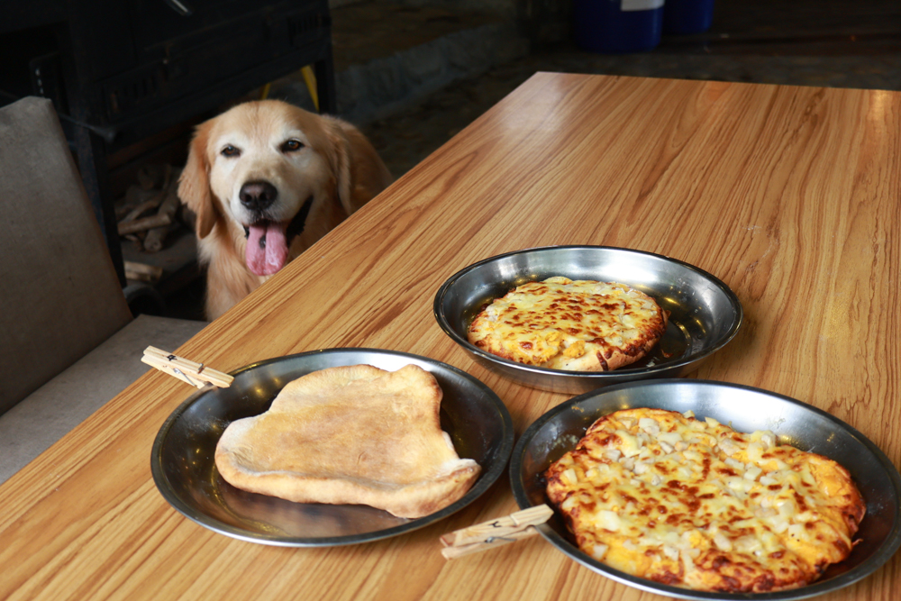 南投溪頭溪部好呆庄野宿體驗庄園|寵物友善露營車&馬車帳篷住宿開箱,一泊二食、野溪抓蝦超好玩! - 第27張圖