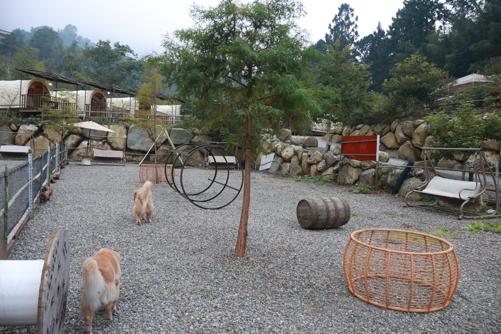 南投溪頭溪部好呆庄野宿體驗庄園|寵物友善露營車&馬車帳篷住宿開箱,一泊二食、野溪抓蝦超好玩! - 第38張圖