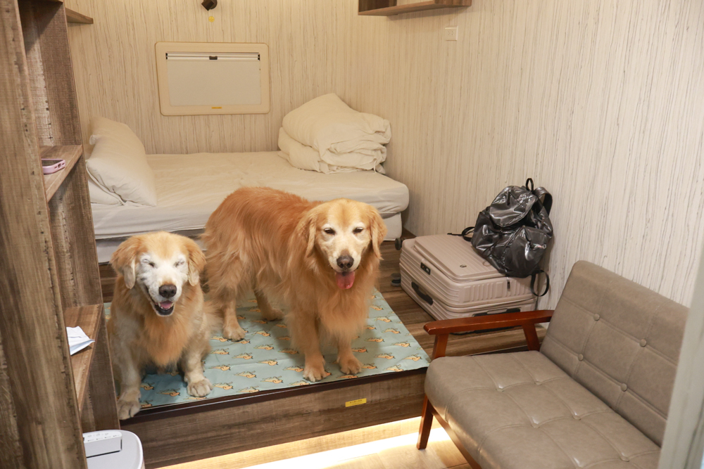 南投溪頭溪部好呆庄野宿體驗庄園|寵物友善露營車&馬車帳篷住宿開箱,一泊二食、野溪抓蝦超好玩! - 第14張圖