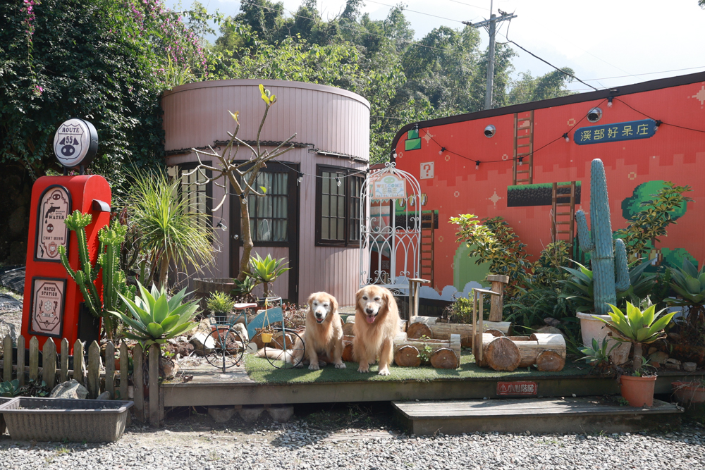 南投溪頭溪部好呆庄野宿體驗庄園|寵物友善露營車&馬車帳篷住宿開箱,一泊二食、野溪抓蝦超好玩! - 第2張圖