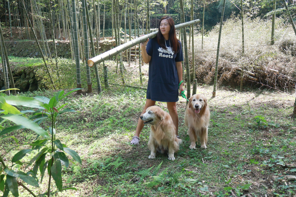 南投溪頭溪部好呆庄野宿體驗庄園|寵物友善露營車&馬車帳篷住宿開箱,一泊二食、野溪抓蝦超好玩! - 第55張圖