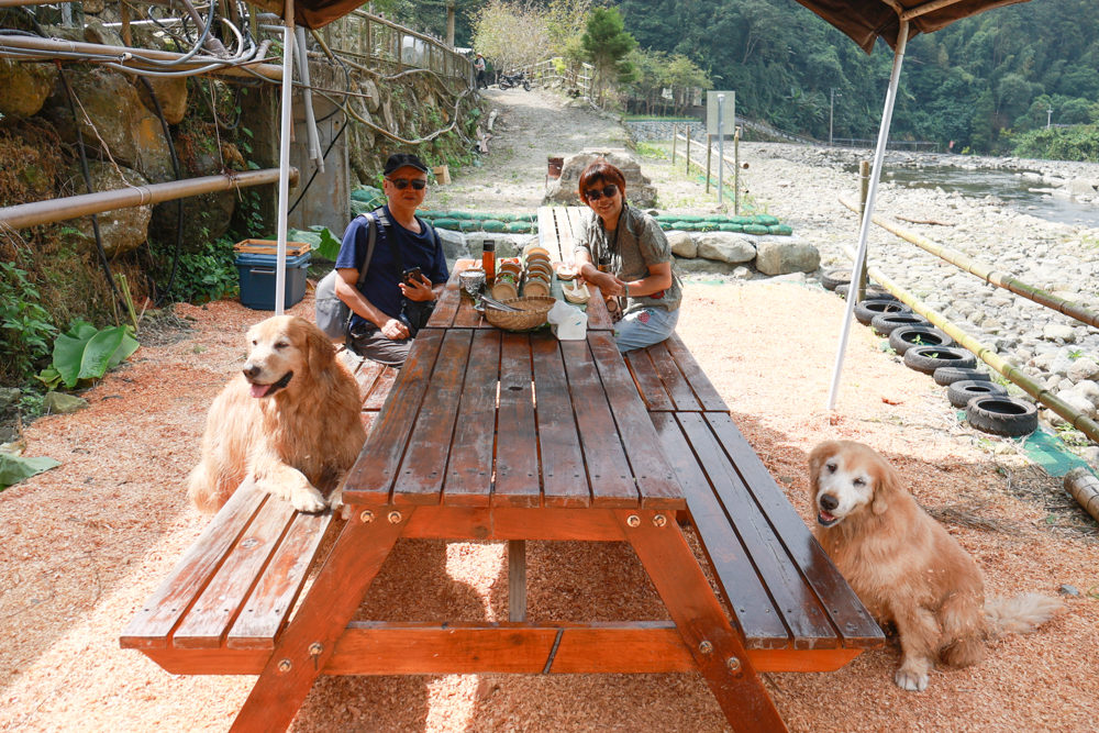 南投溪頭溪部好呆庄野宿體驗庄園|寵物友善露營車&馬車帳篷住宿開箱,一泊二食、野溪抓蝦超好玩! - 第53張圖