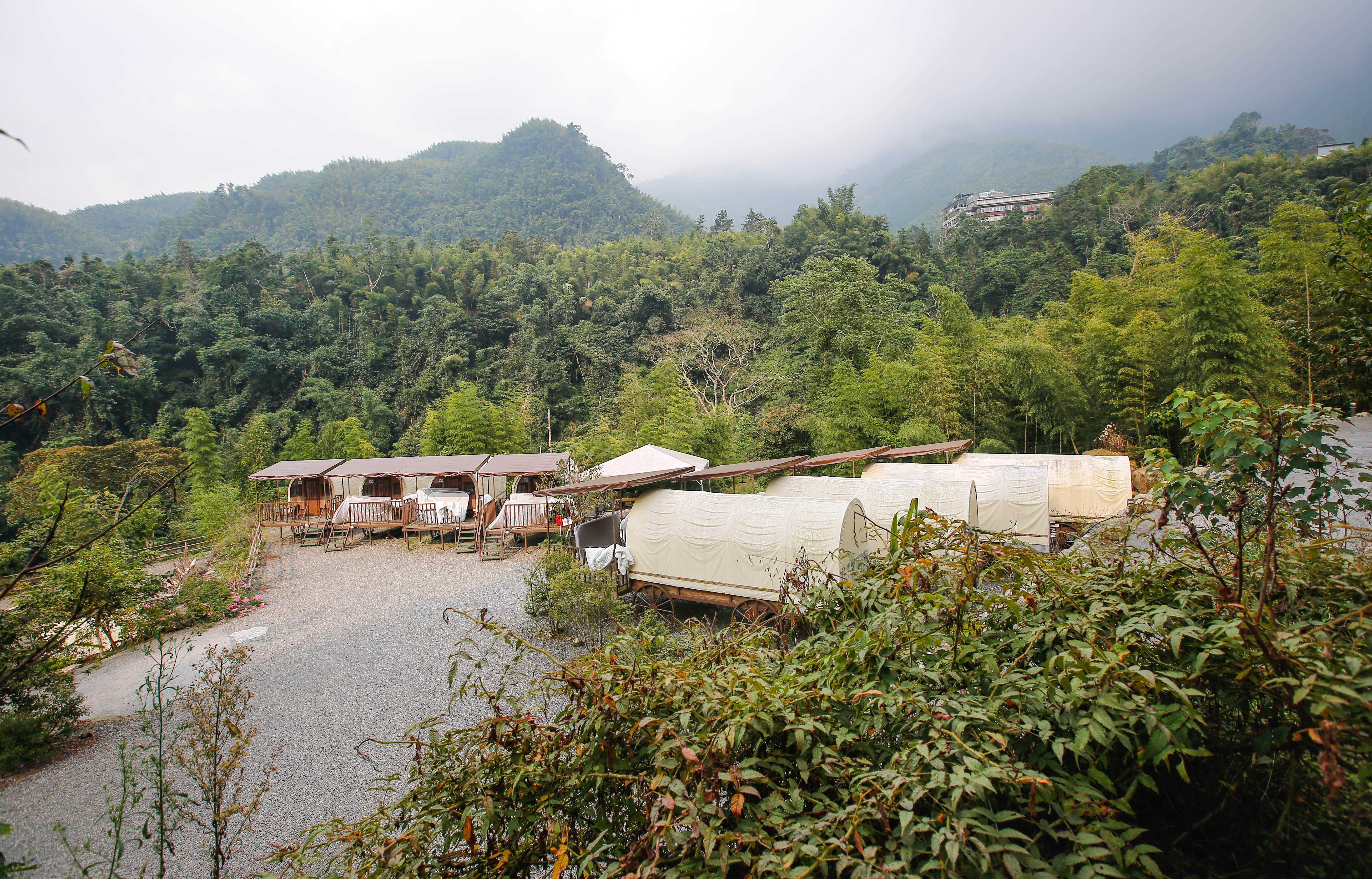 南投溪頭溪部好呆庄野宿體驗庄園|寵物友善露營車&馬車帳篷住宿開箱,一泊二食、野溪抓蝦超好玩! - 第34張圖