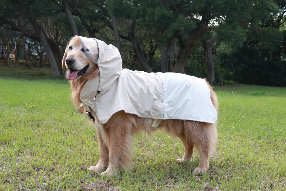 Rain Rover 毛孩漫遊衣|晴天雨天一件搞定。防水透氣、時尚又好穿的寵物機能雨衣!!可當風衣又可以變雨衣,超實穿 - 第21張圖 Rain Rover 毛孩漫遊衣|晴天雨天一件搞定。防水透氣、時尚又好穿的寵物機能雨衣!!可當風衣又可以變雨衣,超實穿