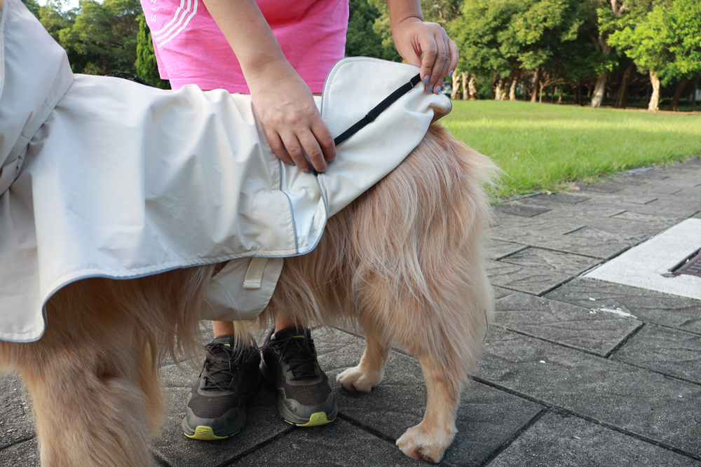 Rain Rover 毛孩漫遊衣|晴天雨天一件搞定。防水透氣、時尚又好穿的寵物機能雨衣!!可當風衣又可以變雨衣,超實穿 - 第8張圖 Rain Rover 毛孩漫遊衣|晴天雨天一件搞定。防水透氣、時尚又好穿的寵物機能雨衣!!可當風衣又可以變雨衣,超實穿