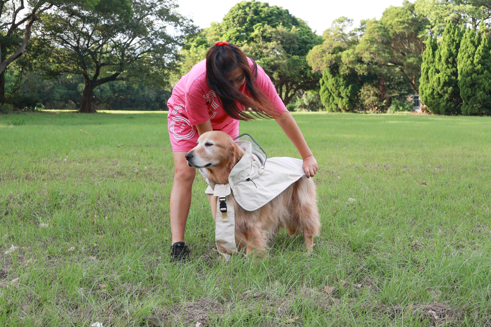Rain Rover 毛孩漫遊衣|晴天雨天一件搞定。防水透氣、時尚又好穿的寵物機能雨衣!!可當風衣又可以變雨衣,超實穿 - 第6張圖 Rain Rover 毛孩漫遊衣|晴天雨天一件搞定。防水透氣、時尚又好穿的寵物機能雨衣!!可當風衣又可以變雨衣,超實穿