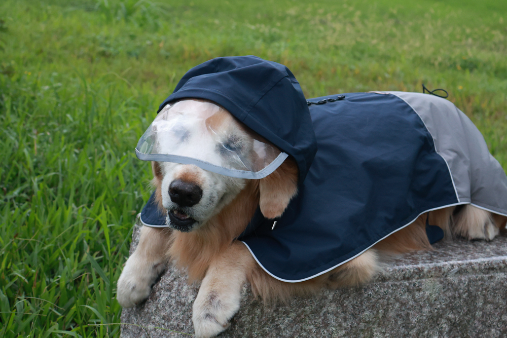 Rain Rover 毛孩漫遊衣|晴天雨天一件搞定。防水透氣、時尚又好穿的寵物機能雨衣!!可當風衣又可以變雨衣,超實穿 - 第30張圖 Rain Rover 毛孩漫遊衣|晴天雨天一件搞定。防水透氣、時尚又好穿的寵物機能雨衣!!可當風衣又可以變雨衣,超實穿