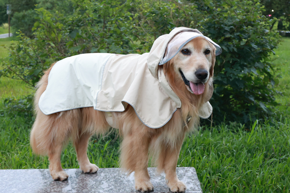 Rain Rover 毛孩漫遊衣|晴天雨天一件搞定。防水透氣、時尚又好穿的寵物機能雨衣!!可當風衣又可以變雨衣,超實穿 - 第31張圖 Rain Rover 毛孩漫遊衣|晴天雨天一件搞定。防水透氣、時尚又好穿的寵物機能雨衣!!可當風衣又可以變雨衣,超實穿