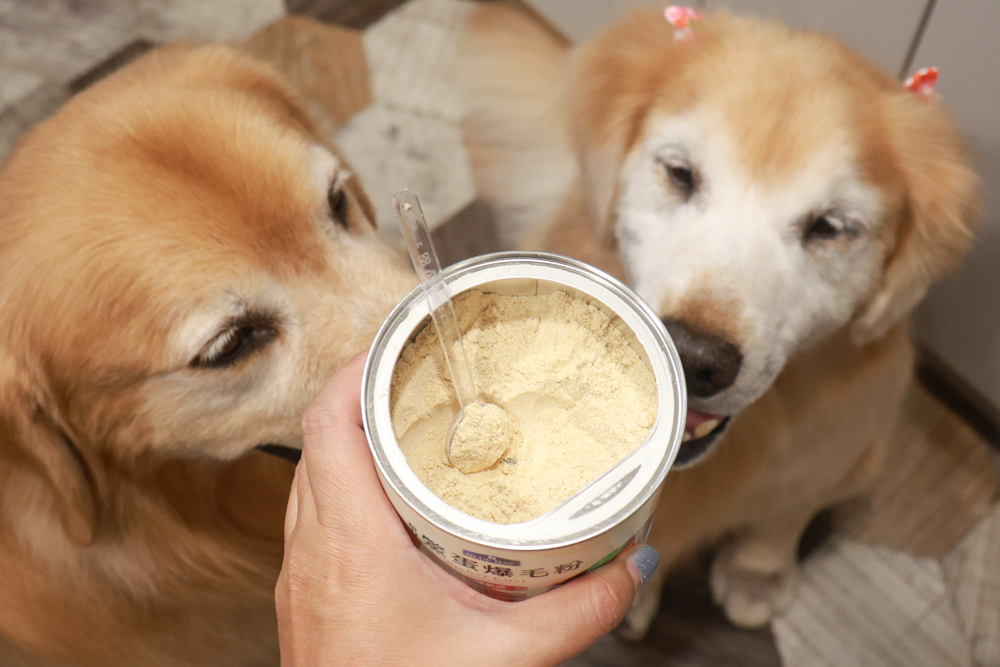 倍力鱉蛋爆毛粉評價|狗狗爆毛粉推薦第一名!毛孩毛髮豐厚柔亮的秘密大公開!~狗狗爆毛粉推薦 - 第9張圖