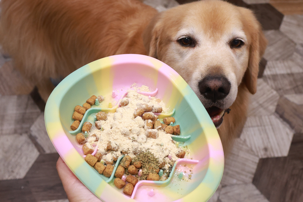 倍力鱉蛋爆毛粉評價|狗狗爆毛粉推薦第一名!毛孩毛髮豐厚柔亮的秘密大公開!~狗狗爆毛粉推薦 - 第12張圖