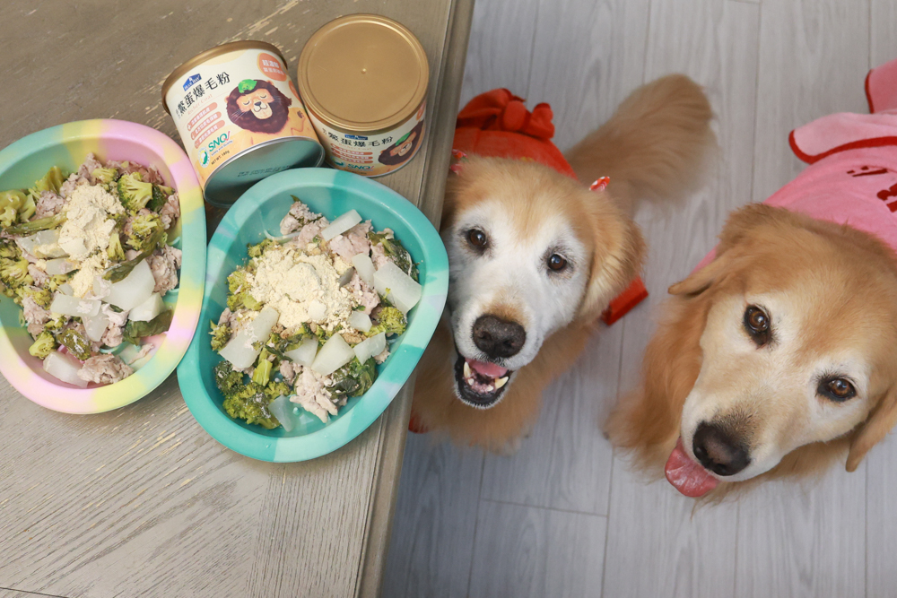 倍力鱉蛋爆毛粉評價|狗狗爆毛粉推薦第一名!毛孩毛髮豐厚柔亮的秘密大公開!~狗狗爆毛粉推薦 - 第11張圖