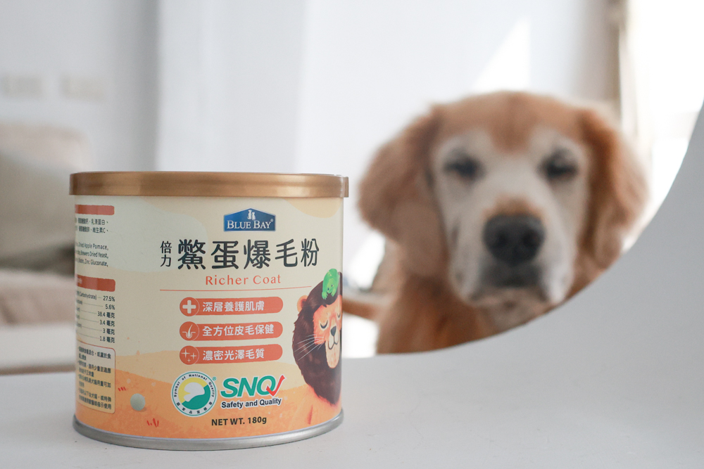 倍力鱉蛋爆毛粉評價|狗狗爆毛粉推薦第一名!毛孩毛髮豐厚柔亮的秘密大公開!~狗狗爆毛粉推薦 - 第4張圖