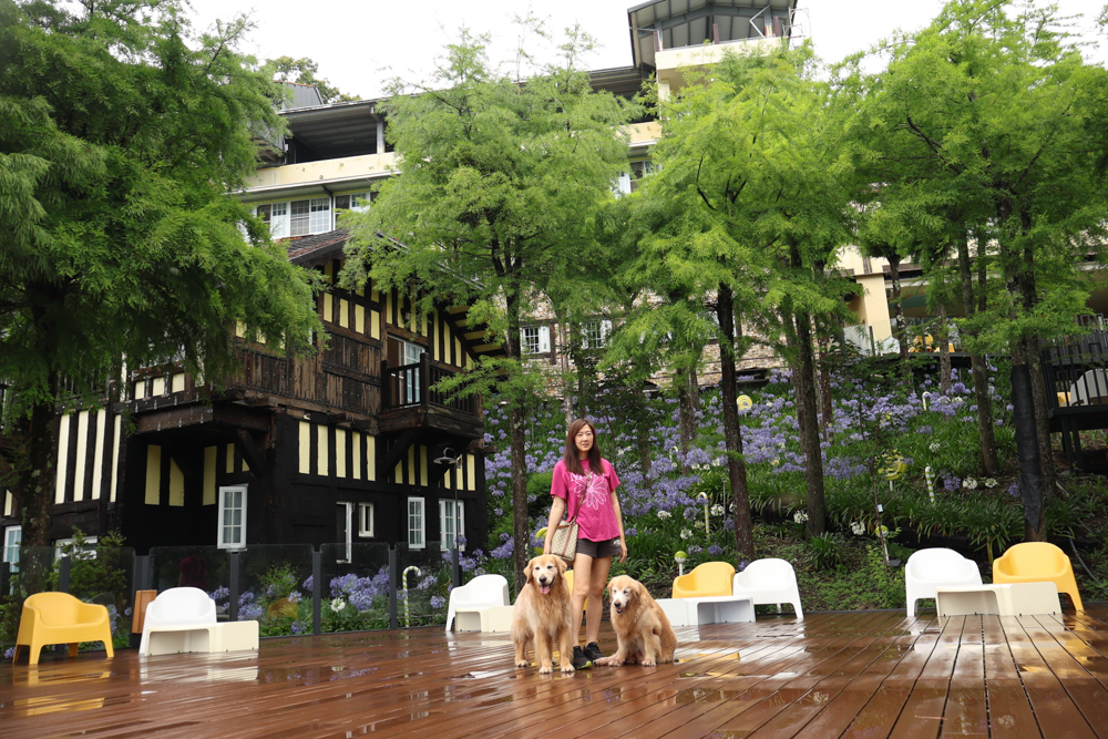 清境凡賽斯莊園 Vanse Manor|南法歐風木屋城堡 × 擁抱山嵐雲海的歐式夢幻莊園 × 南投清境寵物友善住宿 × 火鍋晚餐 - 第1張圖 清境凡賽斯莊園 Vanse Manor|南法歐風木屋城堡 × 擁抱山嵐雲海的歐式夢幻莊園 × 南投清境寵物友善住宿 × 火鍋晚餐