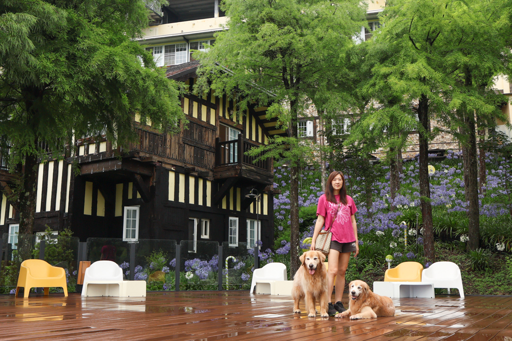 清境凡賽斯莊園 Vanse Manor｜南法歐風木屋城堡 × 擁抱山嵐雲海的歐式夢幻莊園 × 南投清境寵物友善住宿 × 火鍋晚餐