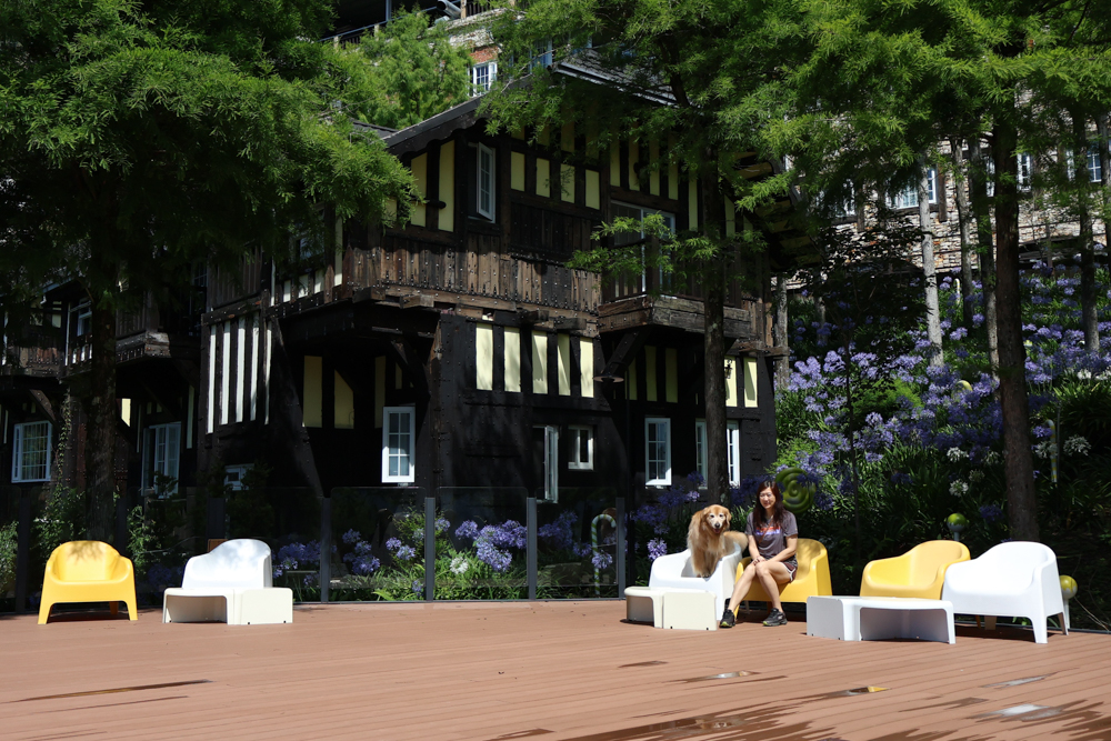 清境凡賽斯莊園 Vanse Manor｜南法歐風木屋城堡 × 擁抱山嵐雲海的歐式夢幻莊園 × 南投清境寵物友善住宿 × 火鍋晚餐