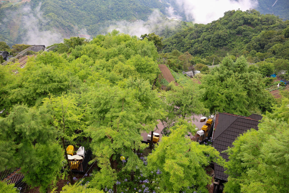 清境凡賽斯莊園 Vanse Manor|南法歐風木屋城堡 × 擁抱山嵐雲海的歐式夢幻莊園 × 南投清境寵物友善住宿 × 火鍋晚餐 - 第40張圖 清境凡賽斯莊園 Vanse Manor|南法歐風木屋城堡 × 擁抱山嵐雲海的歐式夢幻莊園 × 南投清境寵物友善住宿 × 火鍋晚餐