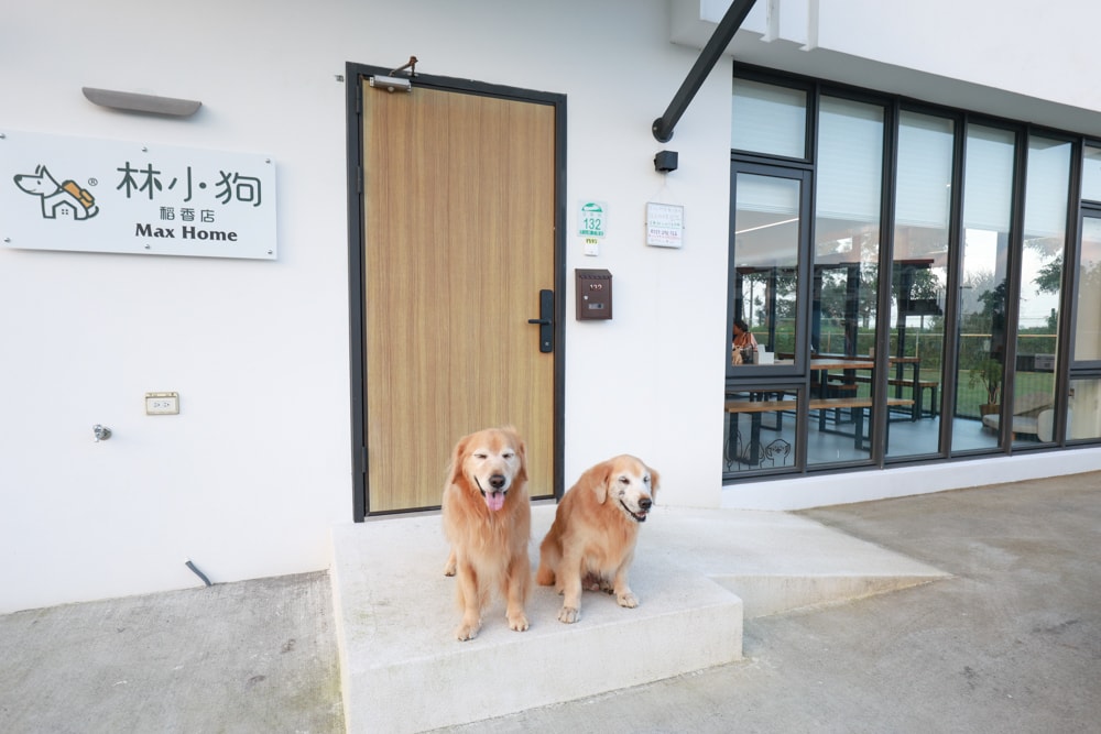 宜蘭冬山寵物友善住宿｜林小狗宜蘭稻香店｜270坪大草皮＋純白質感民宿＋狗狗最愛的大草皮民宿＋寵物友善民宿推薦