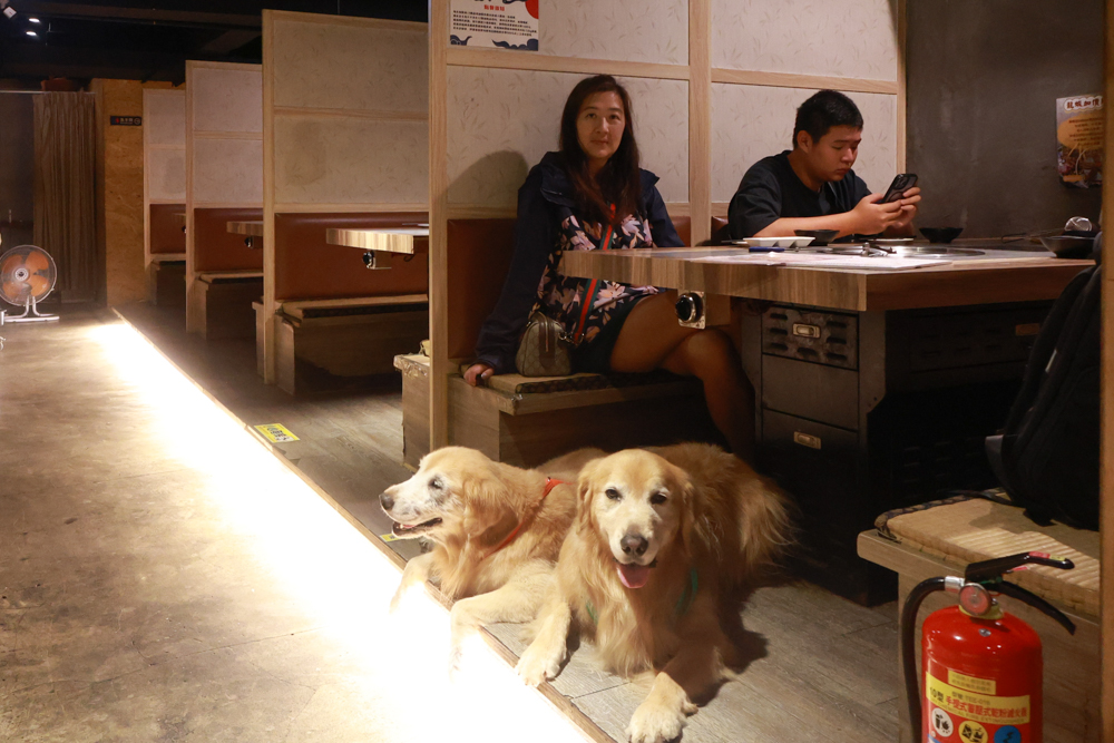 台北東區｜金洹苑日式燒肉鍋物放題。台北寵物友善餐廳推薦、和牛螃蟹龍蝦海鮮吃到飽、火烤兩吃、寵物可落地、毛孩鮮食餐