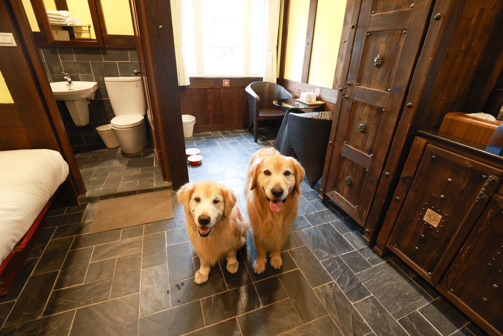 清境凡賽斯莊園 Vanse Manor|南法歐風木屋城堡 × 擁抱山嵐雲海的歐式夢幻莊園 × 寵物友善住宿推薦 × 火鍋晚餐 - 第22張圖