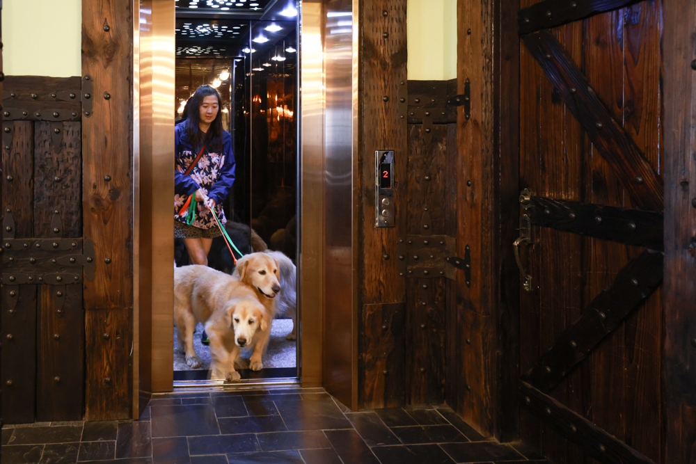 清境凡賽斯莊園 Vanse Manor|南法歐風木屋城堡 × 擁抱山嵐雲海的歐式夢幻莊園 × 寵物友善住宿推薦 × 火鍋晚餐 - 第13張圖