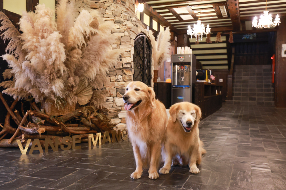 清境凡賽斯莊園 Vanse Manor|南法歐風木屋城堡 × 擁抱山嵐雲海的歐式夢幻莊園 × 寵物友善住宿推薦 × 火鍋晚餐 - 第3張圖