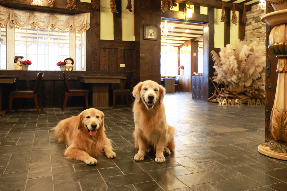 清境凡賽斯莊園 Vanse Manor|南法歐風木屋城堡 × 擁抱山嵐雲海的歐式夢幻莊園 × 寵物友善住宿推薦 × 火鍋晚餐 - 第5張圖