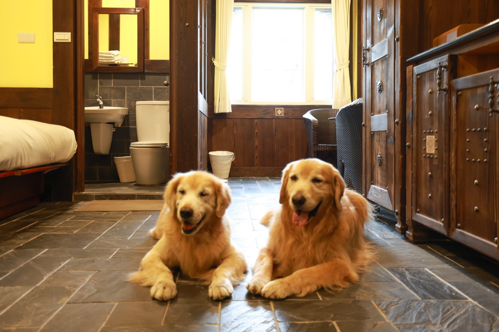 清境凡賽斯莊園 Vanse Manor|南法歐風木屋城堡 × 擁抱山嵐雲海的歐式夢幻莊園 × 寵物友善住宿推薦 × 火鍋晚餐 - 第17張圖