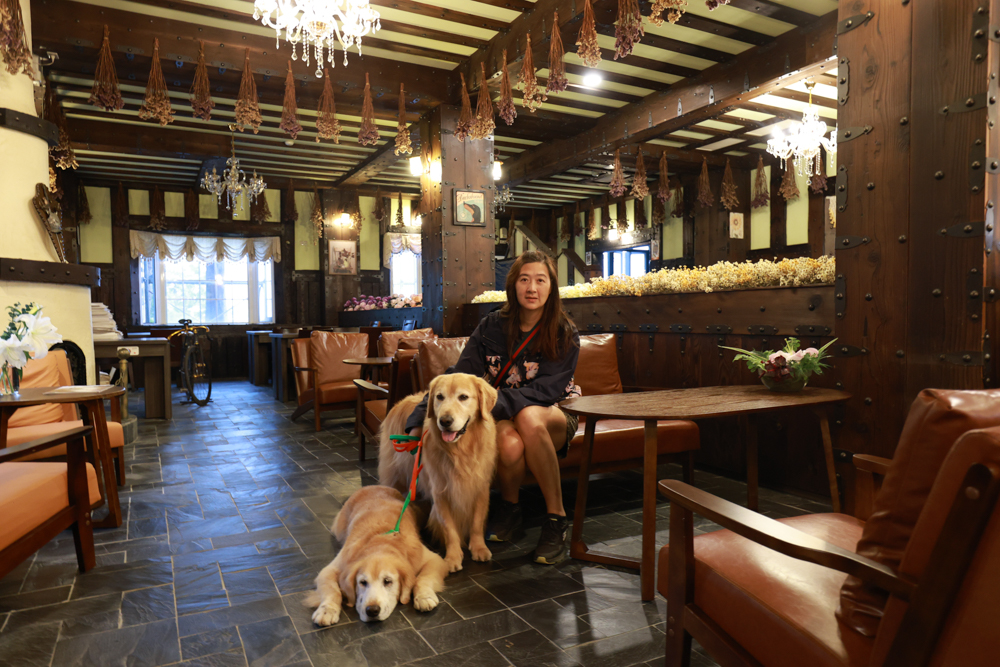 清境凡賽斯莊園 Vanse Manor|南法歐風木屋城堡 × 擁抱山嵐雲海的歐式夢幻莊園 × 寵物友善住宿推薦 × 火鍋晚餐 - 第4張圖