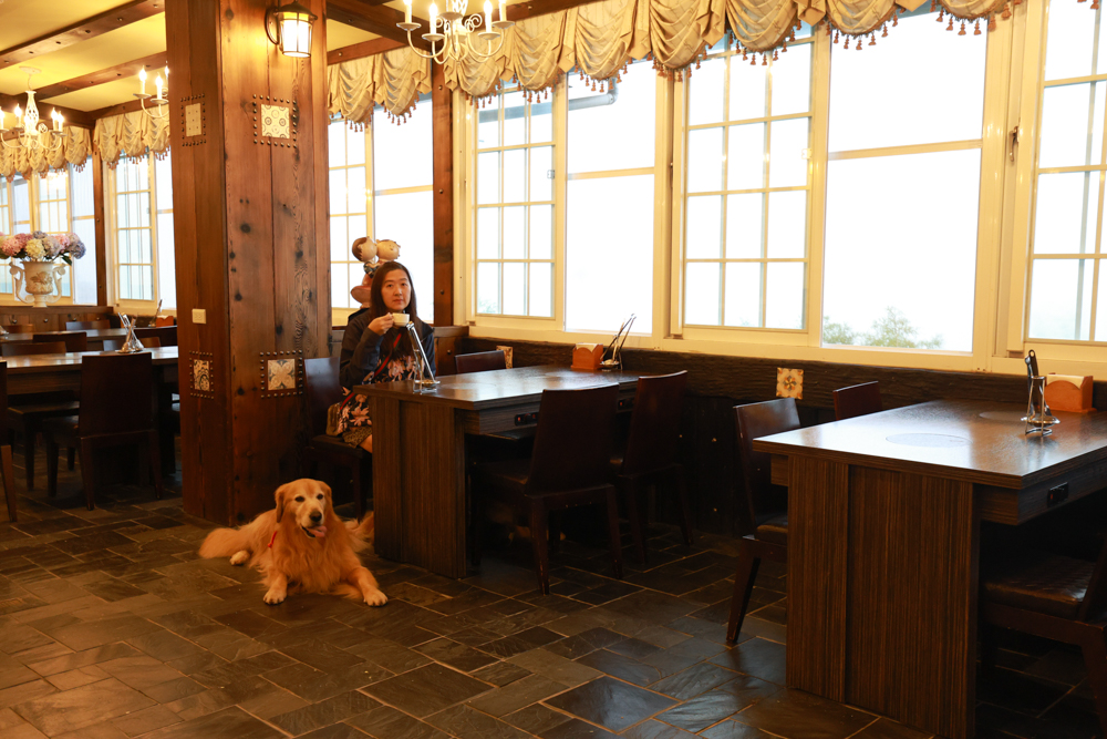 清境凡賽斯莊園 Vanse Manor|南法歐風木屋城堡 × 擁抱山嵐雲海的歐式夢幻莊園 × 寵物友善住宿推薦 × 火鍋晚餐 - 第28張圖