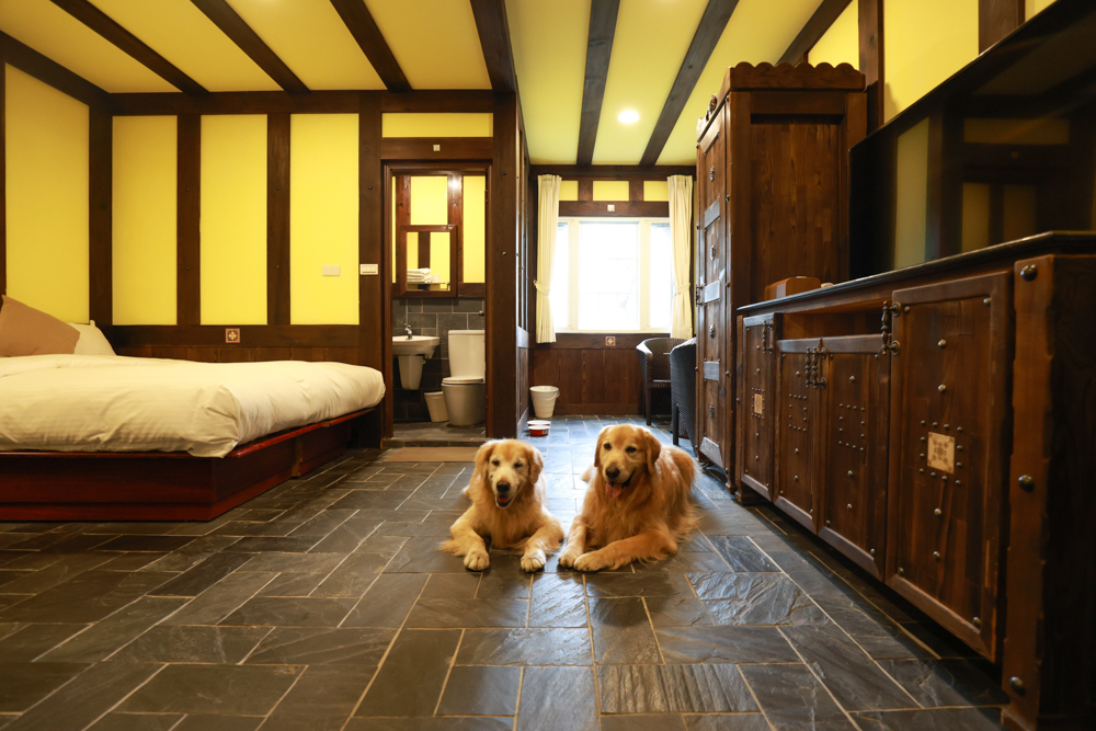 清境凡賽斯莊園 Vanse Manor|南法歐風木屋城堡 × 擁抱山嵐雲海的歐式夢幻莊園 × 寵物友善住宿推薦 × 火鍋晚餐 - 第18張圖