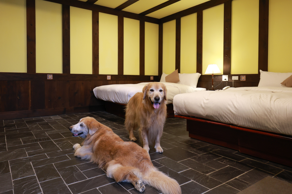 清境凡賽斯莊園 Vanse Manor|南法歐風木屋城堡 × 擁抱山嵐雲海的歐式夢幻莊園 × 寵物友善住宿推薦 × 火鍋晚餐 - 第19張圖